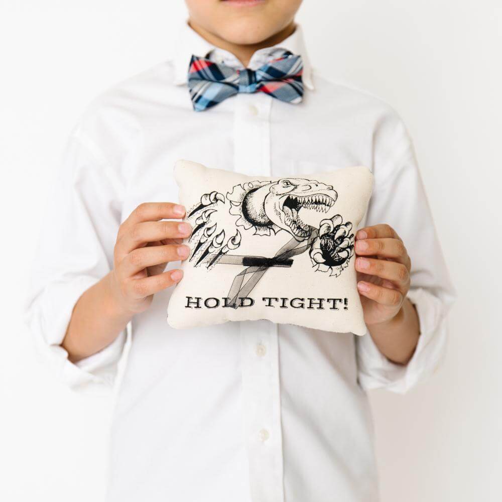 boy holding dinosaur ring bearer pillow